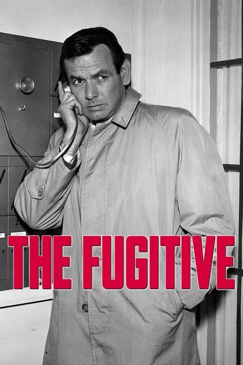 The Fugitive • Gdzie obejrzeć • Lektor • Serial Online