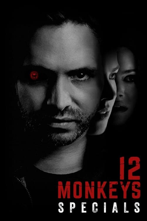 12 Małp