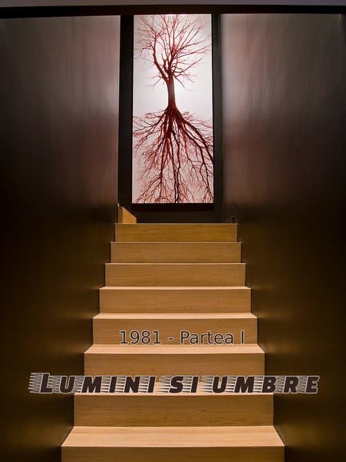 Lumini și umbre • Gdzie obejrzeć • Lektor • Serial Online