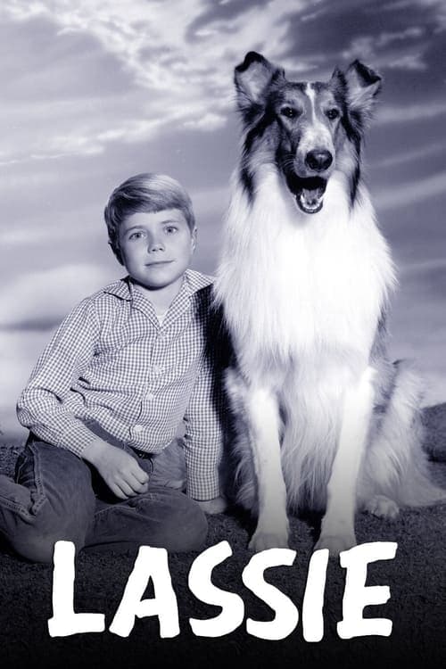 Lassie • Gdzie obejrzeć • Lektor • Serial Online
